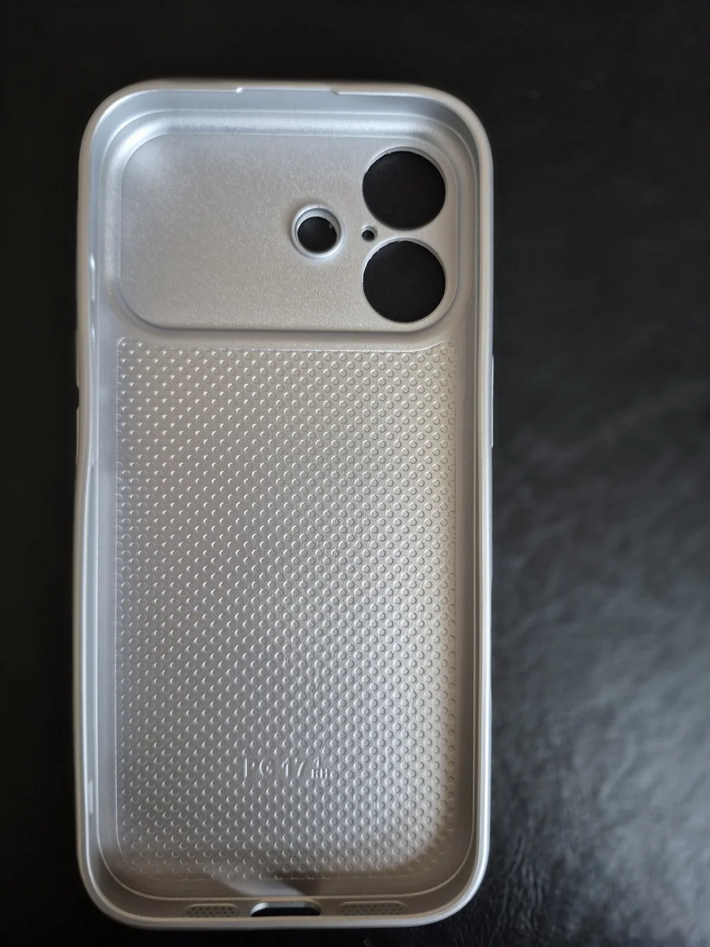 IPhone 17 Snake-Pattern Reptile Phone Case - Cream Silver
